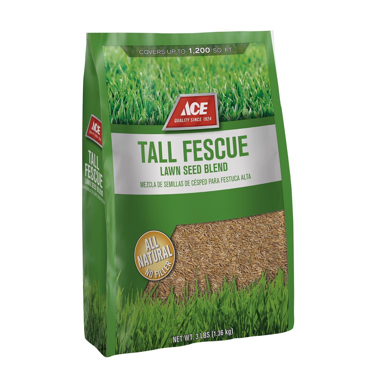 Ace Tall Fescue Grass Sun or Shade Fertilizer/Mulch/Seed 3.75 lb Ace Tall Fescue Grass Sun or Shade Fertilizer/Mulch/Seed 3.75 lb