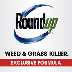 Roundup Weed and Grass Killer RTU Liquid 24 oz