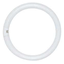 Satco 22 W T9 1.13 in. D X 8 in. L Circline Fluorescent Bulb Daylight Tubular 6500 K 1 pk