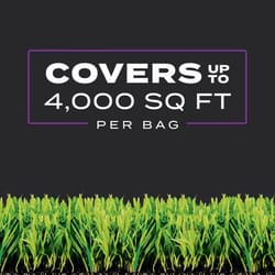 Scotts Turf Builder Southern Weed & Feed Lawn Fertilizer For Multiple Grass Types 4000 sq ft
