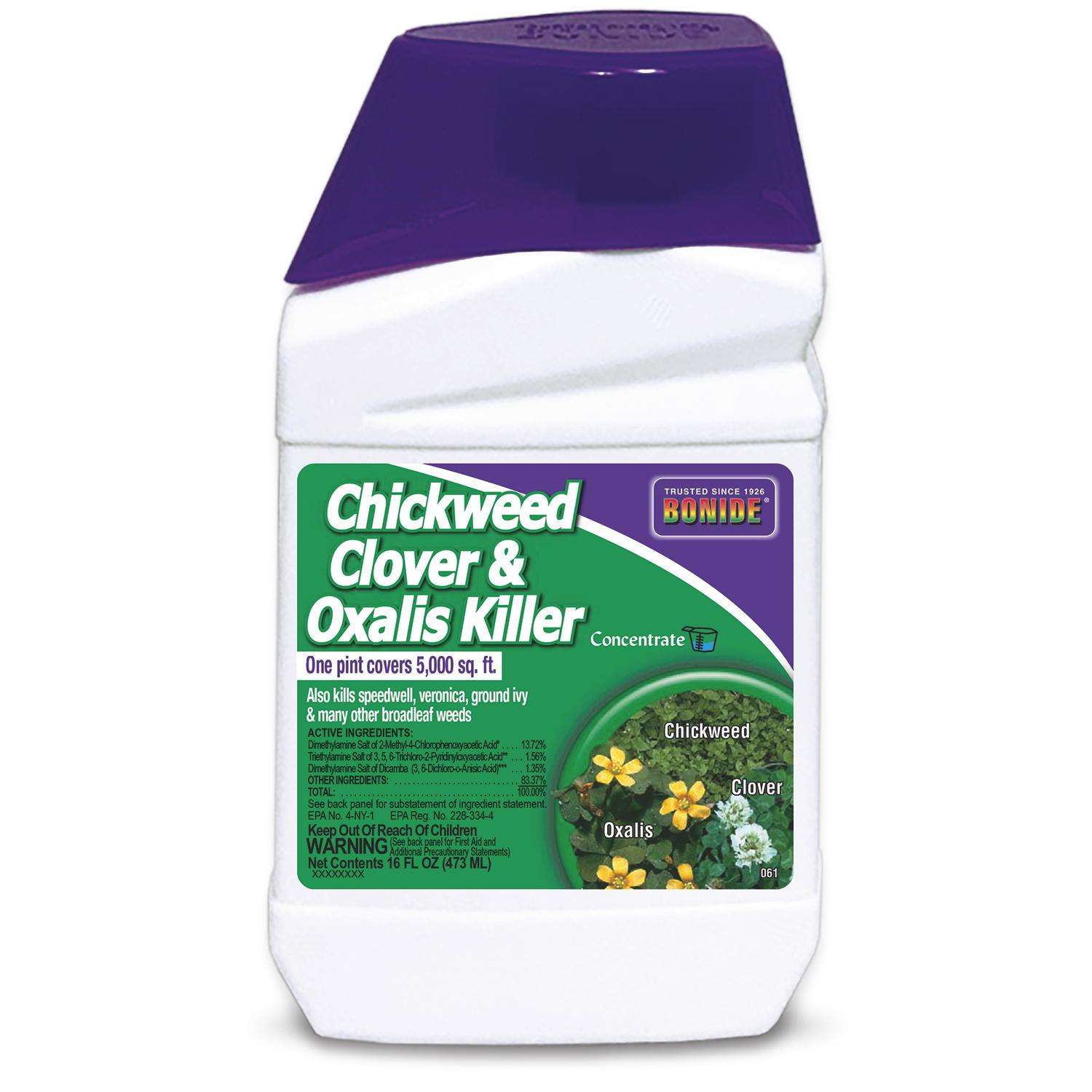 Bonide Chickweed Killer Concentrate 16 oz - Ace Hardware