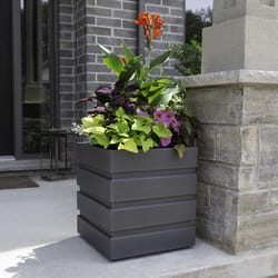 Mayne Freeport 20 in. H X 18 in. W X 18 in. D Polyethylene Planter Graphite Gray