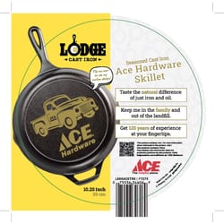 Lodge Cast Iron Skillet 10 in. Black
