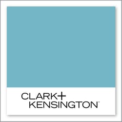 Clark+Kensington Blue My Mind 34C-5