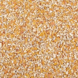 Ace Cracked Corn Songbird Cracked Corn Cracked Corn 10 lb