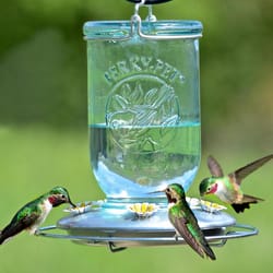 Perky-Pet Hummingbird 32 oz Glass/Metal Mason Jar Nectar Bird Feeder 5 ports