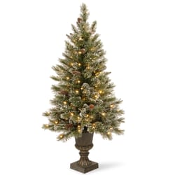 National Tree Company 4 ft. Slim Incandescent 100 ct Glittery Bristle Pine Entrance Tree