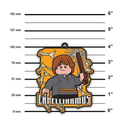 LEGO Harry Potter Expelliarmus Magnet Silicone 1 pk