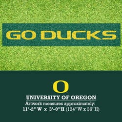 U-Stencil Go Ducks No Stick Lawn Stencil