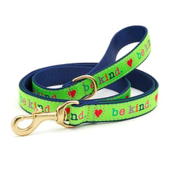 Up Country Blue/Green Be Kind Nylon Dog Leash