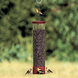 Droll Yankees Dipper Wild Bird 5 lb Polycarbonate Tube Bird Feeder 4 ports
