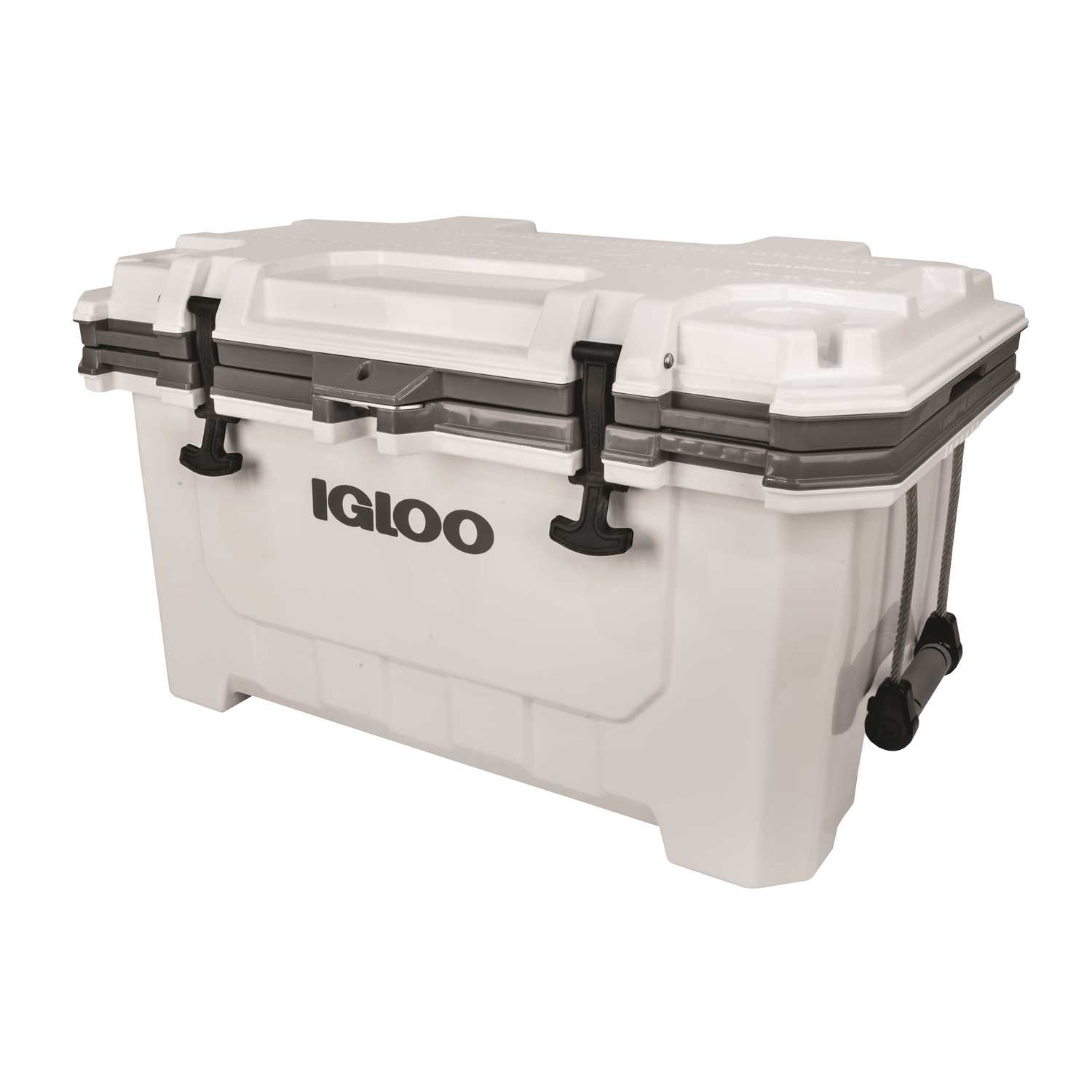 igloo 75 qt cooler