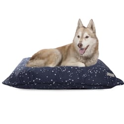 Pet Shop by Fringe Studio Navy Canvas Celestial Pet Bed Pillow