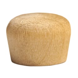 Century Drill & Tool Round Birch Head Plug 1/4 in. D X 1/4 in. L 24 pk Brown
