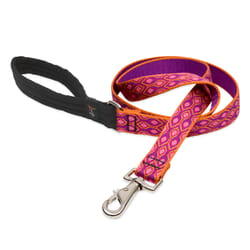 LupinePet Original Designs Multicolor Alpen Glow Nylon Dog Leash