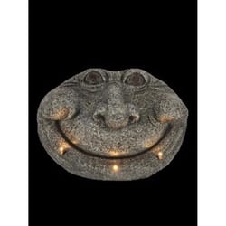 Luxe Light Decor Gray Resin/Stone 8.66 in. H X 13.86 in. W Smiling Stone Face with Solar LEDs Statue