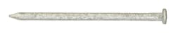 Ace 16D 3-1/2 in. Common Hot-Dipped Galvanized Steel Nail Flat Head 1 lb