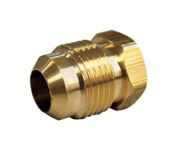 JMF Company 1/4 in. Flare Brass Hex Plug