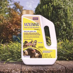 Bonide MoleMax Animal Repellent Granules For Moles and Voles 5 lb
