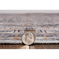 Linon Home Decor Calston 5 ft. W X 3 ft. L Beige/Gray Washable Polyester Area Rug