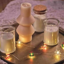 Celebrations LED Micro Dot/Fairy Clear/Warm White 20 ct Novelty Christmas Lights 6.2 ft.