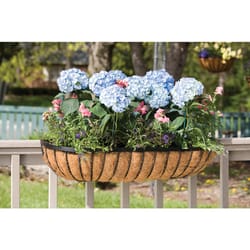 Panacea 36 in. W Steel Deck Rail Planter Black