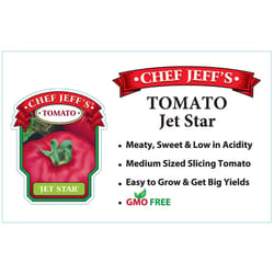 Chef Jeff Red Standard Jet Star Tomato Vegetable Plant