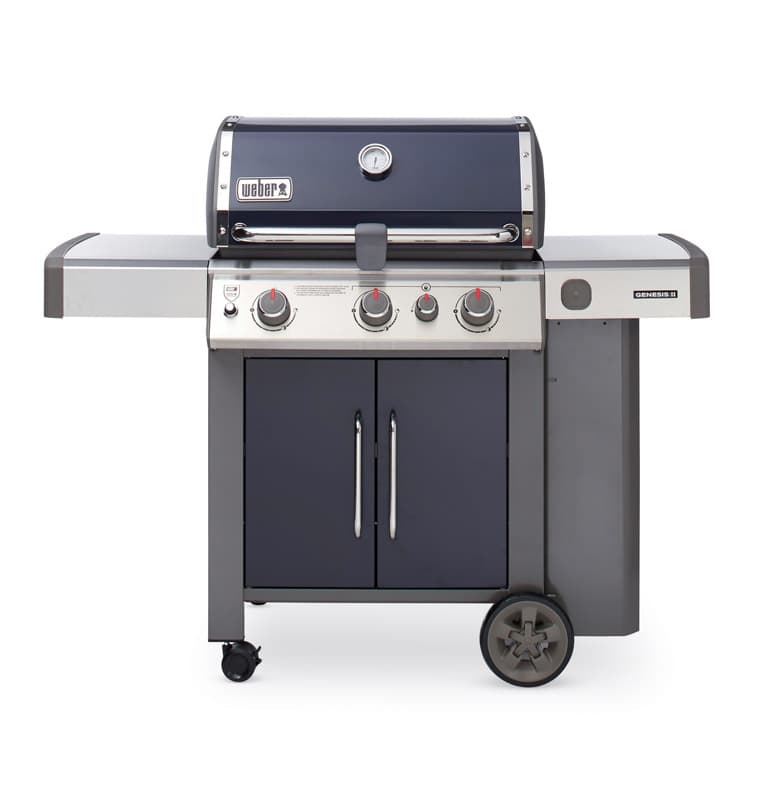 Grill Promotion Ace Hardware
