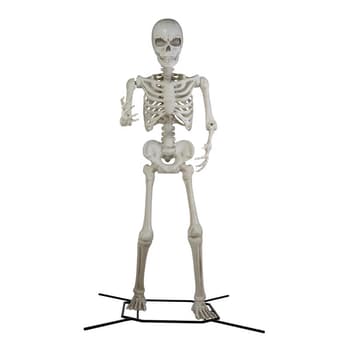 Skeleton and Skull Decor