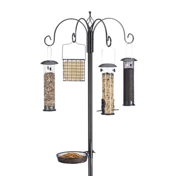 Feit Bird Genius Smart Feeder Wild Bird 2.5 L Plastic Bird Feeder 1 ports -  Ace Hardware