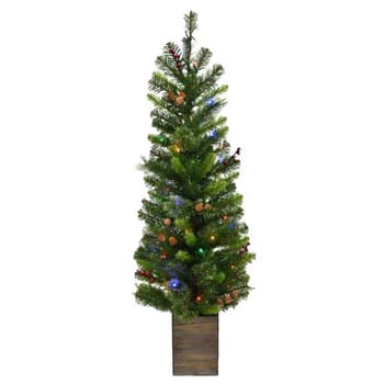 Potted Trees