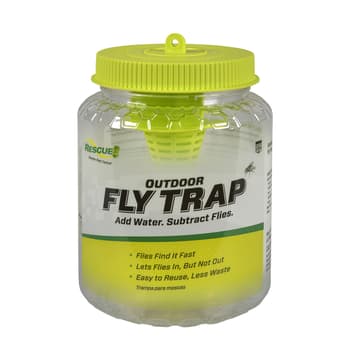 BugMD Fly Traps for Windows - Fly Traps for Indoors Sticky, Indoor Fly  Traps, Fly Paper Corners, Indoor Fly Catcher, House Fly Killer Indoor,  Indoor