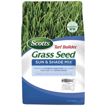 Grass Seed