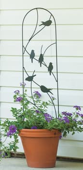 Shepherd Hooks-set Of 2-metal Pole With Hooks For Hanging Baskets, Bird  Feeders & Lanterns-35 Tall- For Flower Gardens & Patios By Nature Spring :  Target