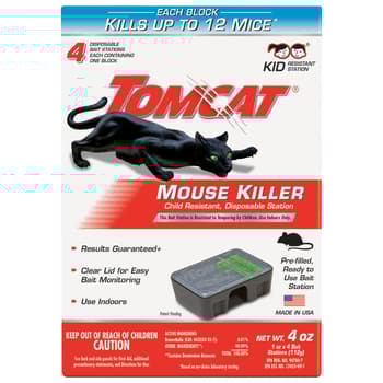 Tomcat