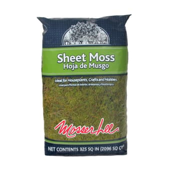 Mosses