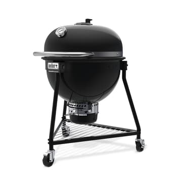 Kamado Grills