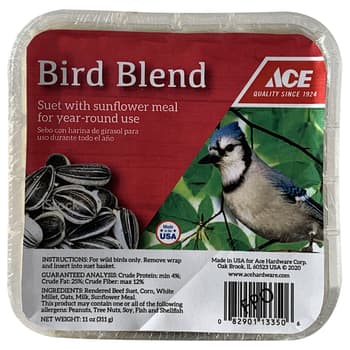 Feit Bird Genius Smart Feeder Wild Bird 2.5 L Plastic Bird Feeder 1 ports -  Ace Hardware