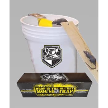 Shop Rat Traps Mouse Bucket Trap Catch Bait Mouse Trap Mouse Trap For Big  Rat with great discounts and prices online - Dec 2023