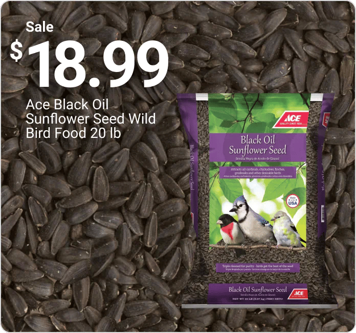 Sale $18.99 Ace Black Oil Sunflower Seed Wild Bird Food 20 lb