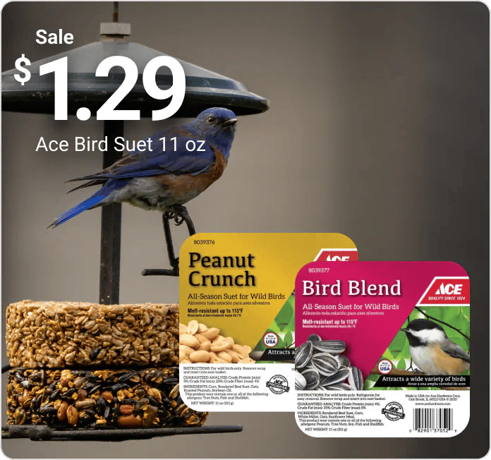 Sale $1.29 Ace Bird Suet 11 oz