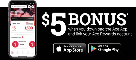 $5 Download Bonus in the Ace App
