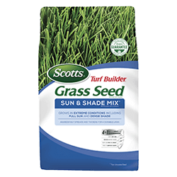 Grass Seed