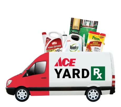 Shop Ace YardRx