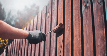 Fence Staining vs. Painting