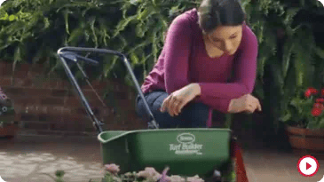 How To Care For Your Lawn in Fall