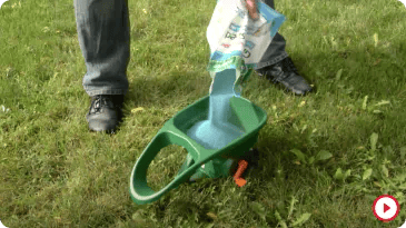 How To Overseed Your Lawn