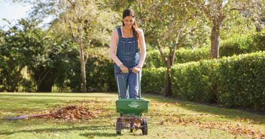 Fall Yard Care