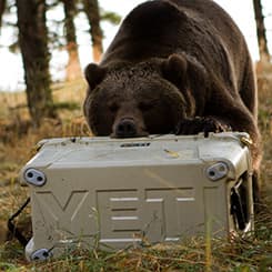 Yeti TUNDRA® 45 Hard Cooler - Canopy Green - The BBQ Allstars