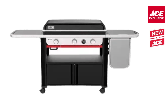 Weber Slate grill